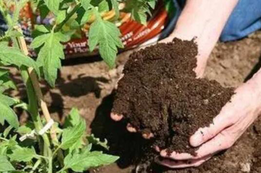 (圖:氨基酸肥應用場景)