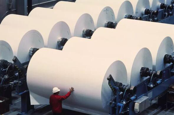 (圖:造紙展示圖)